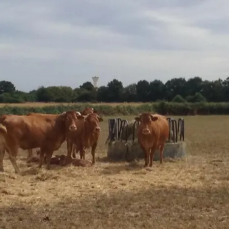 La Vieille Gorce D'hotes Near Civray Asnois (Vienne)