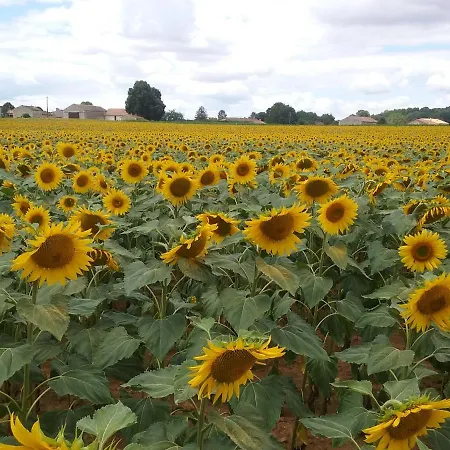 فندق مبيت وإفطار La Vieille Gorce D'hotes Near Civray 3*