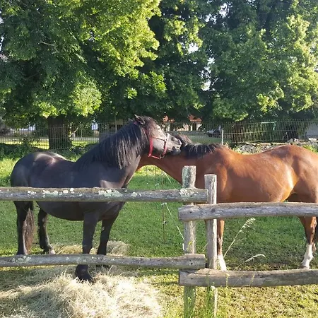 فندق مبيت وإفطار La Vieille Gorce D'hotes Near Civray 3*