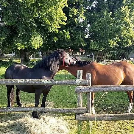 La Vieille Gorce D'hotes Near Civray 3* Asnois (Vienne)