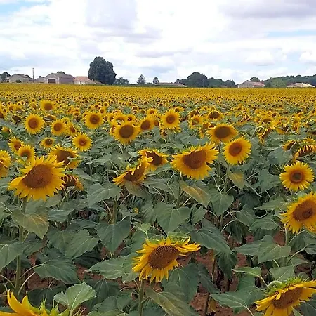 La Vieille Gorce D'hotes Near Civray Bed & Breakfast Asnois (Vienne)